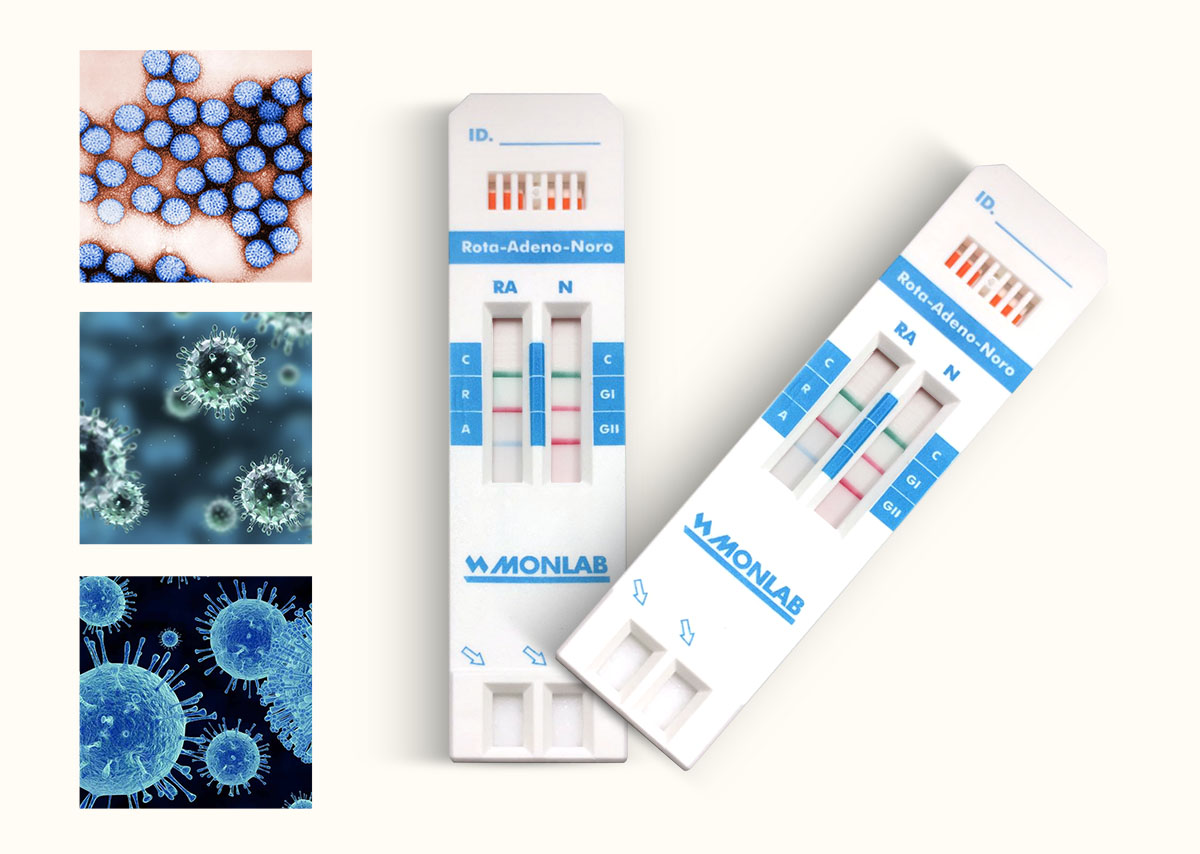 Rotavirus, Adenovirus and  Norovirus on step